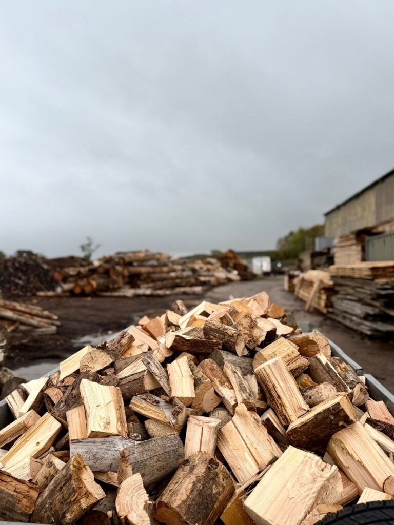 Gallery 14 oak timber 1